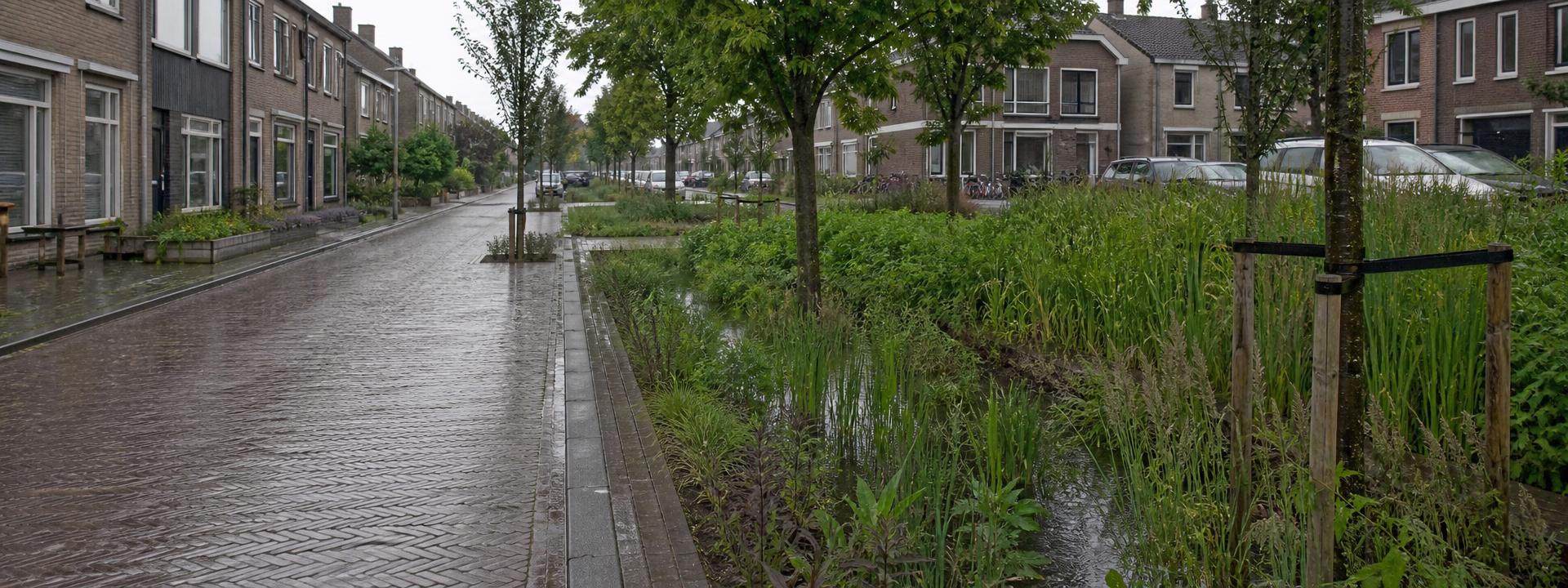 Nederlandse straat met wadi en regenwaterberging