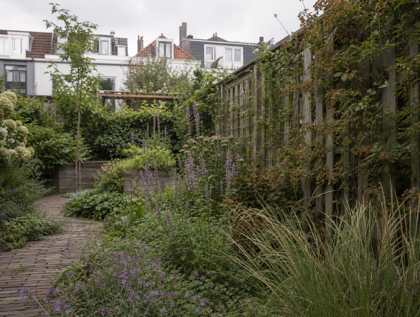 Onthardde stadstuin met inheemse beplanting
